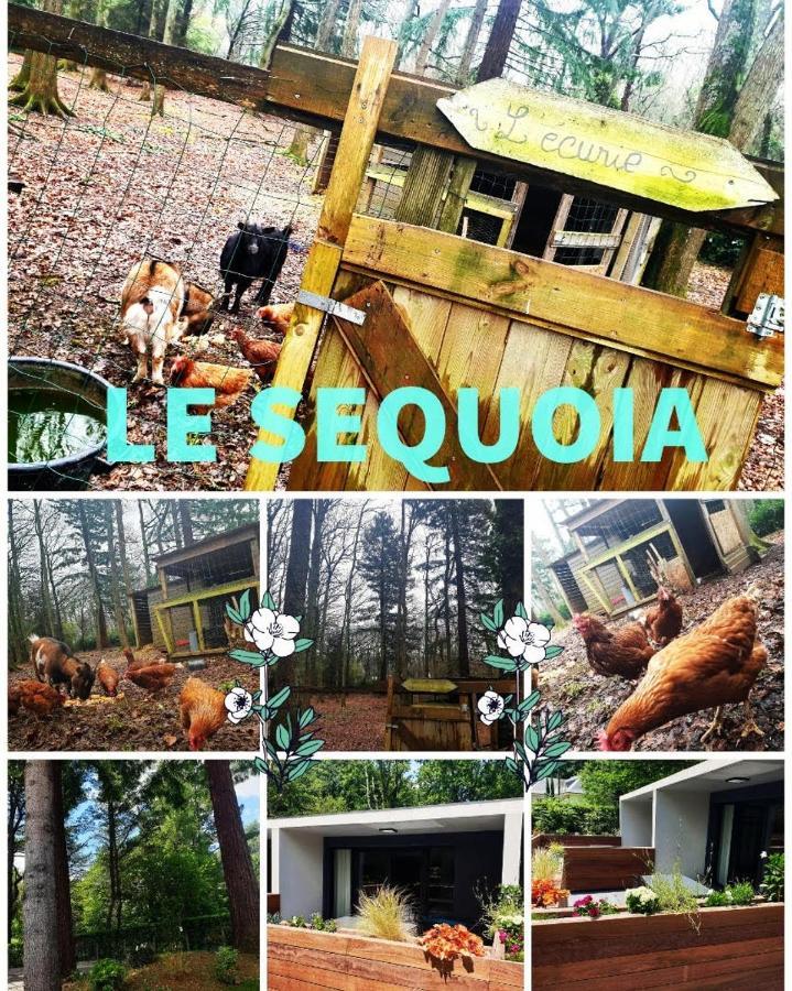 Апартаменты Le Sequoia Сен-Себастьян-Сюр-Луар Экстерьер фото