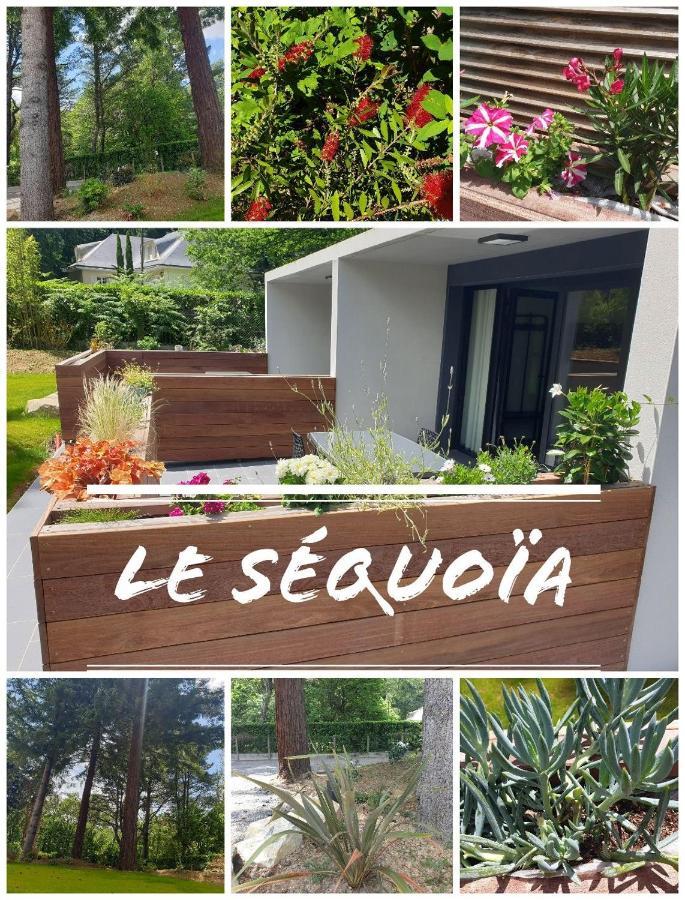 Апартаменты Le Sequoia Сен-Себастьян-Сюр-Луар Экстерьер фото